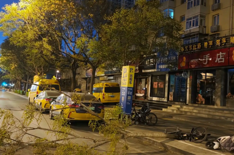 北京极端大风:树被吹倒 高楼轻晃