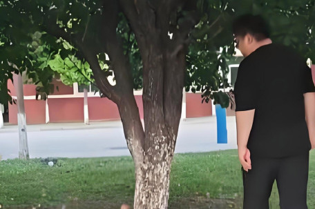 爸爸用霍氏八极拳铁山靠帮孩子摘杏