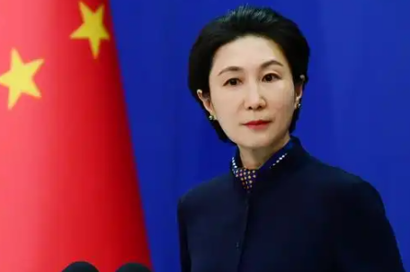 中方回应“巴西起诉某中国车企”