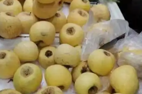 60一斤的新疆冬厘果究竟是什么