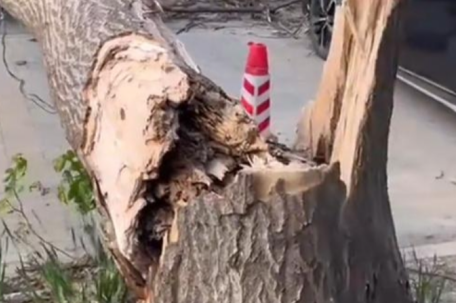 走一步退三步 北京的风有多大