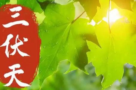 “三伏天”为何是一年最热的时候