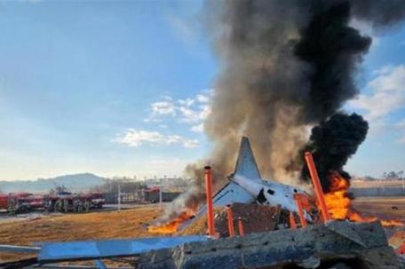 韩国起火客机遭鸟撞击画面曝光