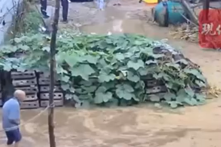 老人摔倒水中挣扎 民警未搀扶被投诉 