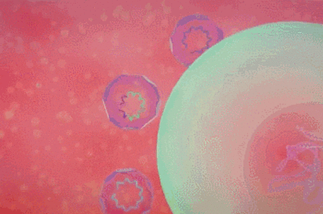 缺觉四天诱发全身炎症风暴