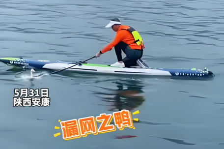 桨板哥一桨KO漏网鸭