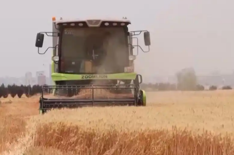 各地夏粮丰收有“粮”方