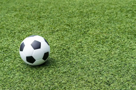 招足球教练要博士 浙江体育局通报