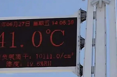 来东北避暑差点中暑 