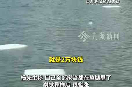 养殖户放冰块和藿香正气水给鱼降温