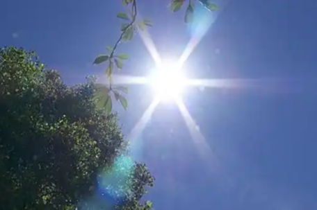 北京等地为何变“热带雨林”