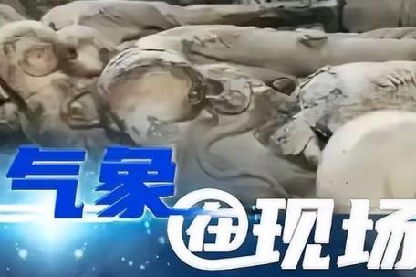 北京暴雨故宫再现千龙吐水