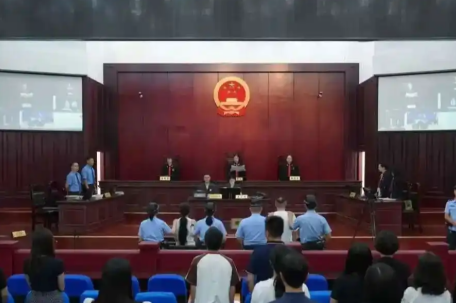 2人造谣科研人员虐待大熊猫获刑 