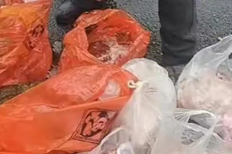 年货扔垃圾箱疑似当事人回应