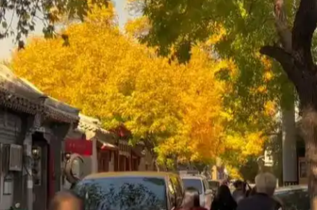 北京人要进化出鳃了