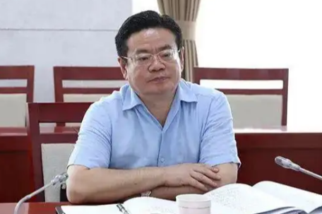 张效廉被决定逮捕 曾被批官迷心窍