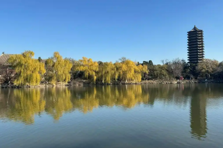 未名湖水卖近百元 鱼听了都想考研