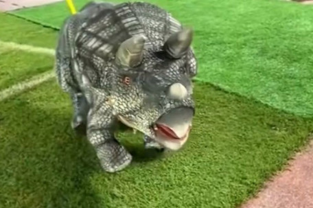 常州辟谣“小恐龙”输球被气晕 