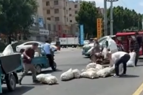 山东一地多人哄抢掉地大蒜