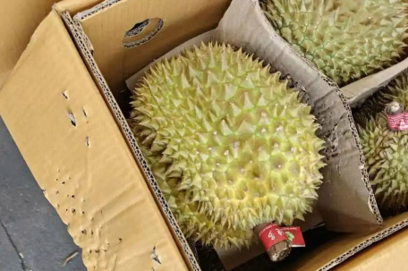 榴莲又便宜了