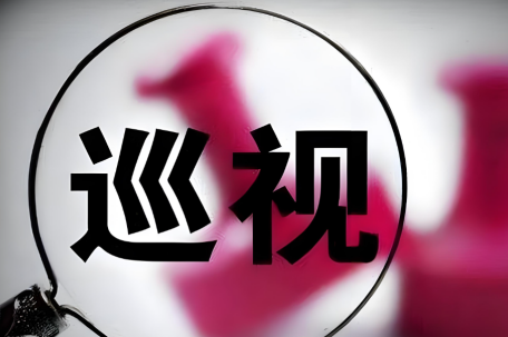 11位中央指导组组长全亮相