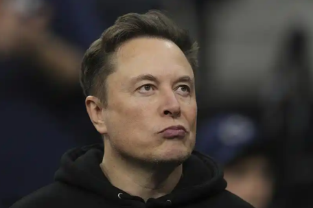 马斯克为什么管美国议员叫猪