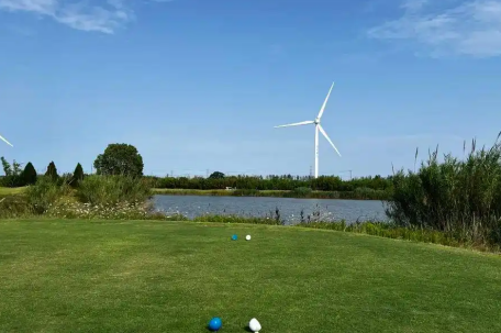 苏北三线城市成了韩国人的快乐老家