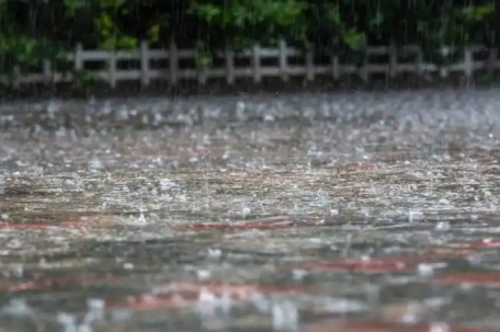 暴雨蓝色预警：多省份大到暴雨