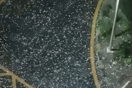 北京需警惕8级短时大风和冰雹