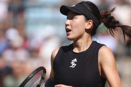 王欣瑜无缘WTA单打冠军