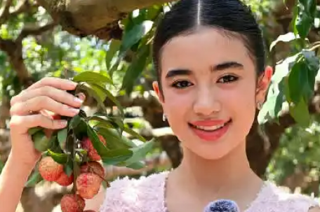柬埔寨公主深圳摘荔枝：最爱糯米糍