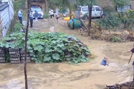 老人水中摔倒民警未搀扶被免职 