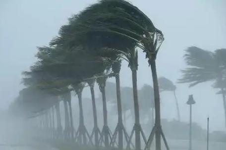 极端大风幕后推手竟是它