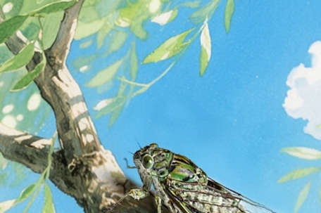 今年“三伏”30天！