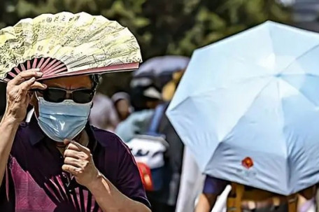 北方“铁板烧” 南方“焖蒸”