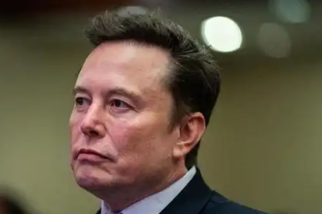 马斯克骂贸易顾问傻蛋 白宫打圆场