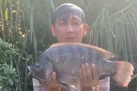 两次关税战没压垮这条鱼