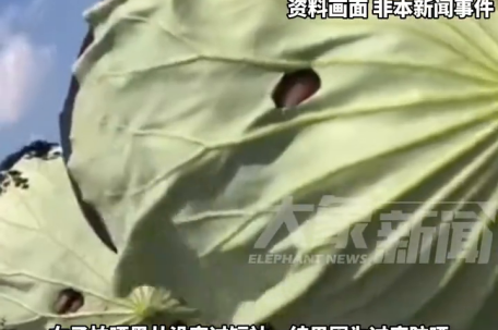 女子因过度防晒在睡觉翻身时竟骨折 