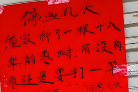 全网都在祝烤鸭店老板女儿夺魁