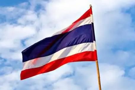 泰国民众举行示威：要求佩通坦辞职 