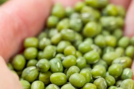 穿纸尿裤小孩坐绿豆框玩耍 超市回应