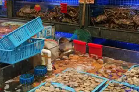 团购价318元吃完结账变2297元