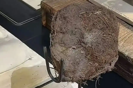 上海人均3888吃象粪甜品餐厅已停业