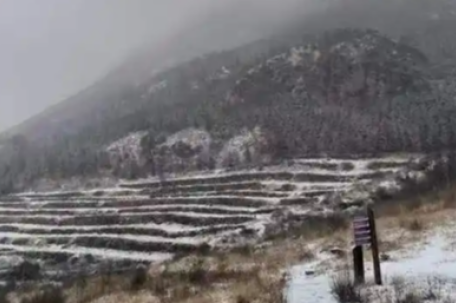 四月的北京下雪啦