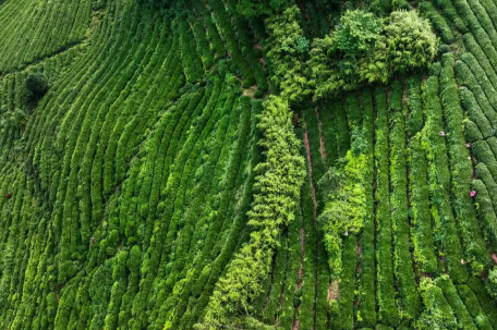 一夜多地暴雨！雅安转移1.7万人 
