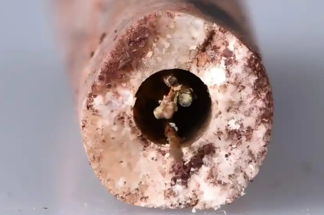 海昏侯墓出土钢制医用毫针