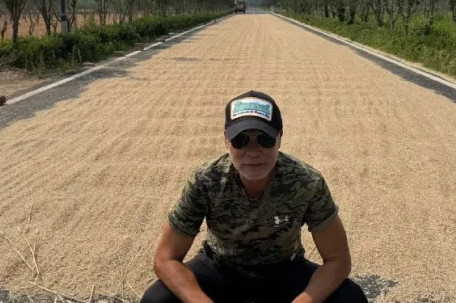 任达华回山东老家收麦子