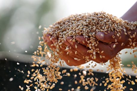 今天这几组数据 提气！