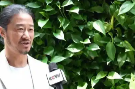 陈道明吴京张译等在《新闻联播》出镜