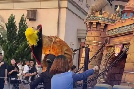 环球影城演员疑中暑晕倒 网友吵翻 